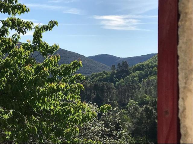 Chambre D'Hote Lavande - Le Soleil Des Cevennes Saint-Jean-du-Gard Exterior photo